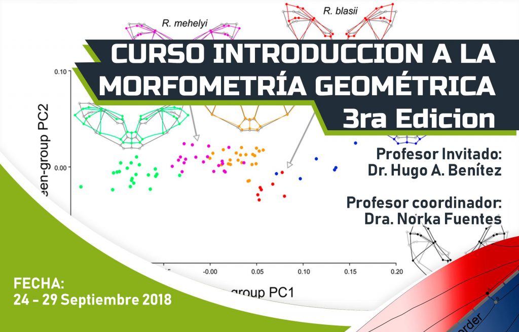 Afiche Curso Morfometría Ulagos Web 1024x655